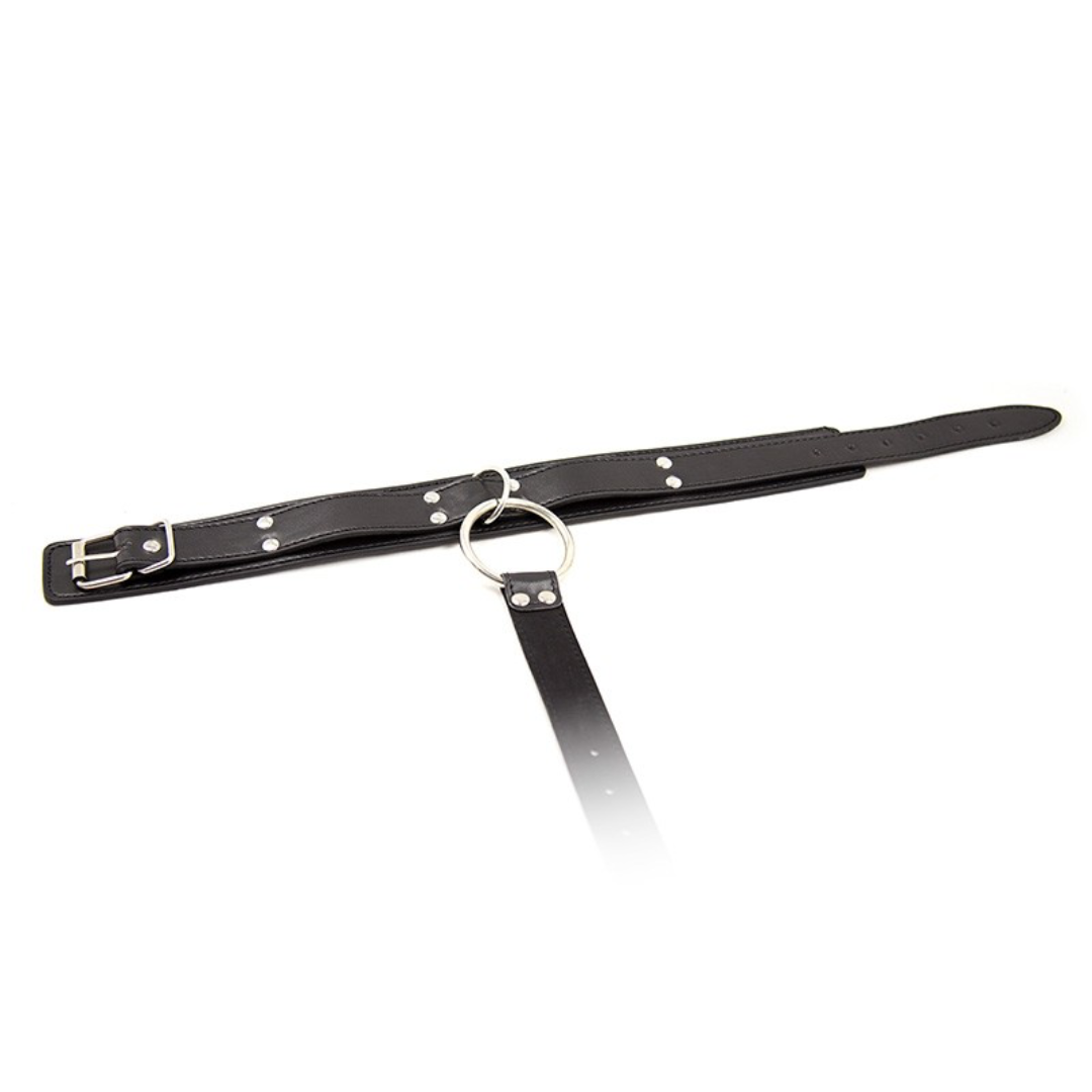 Kit Inmovilizador Con Collar